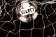 6&#39;6" X 12&#39; - Kickback Replacement Nets (Flat Nets)