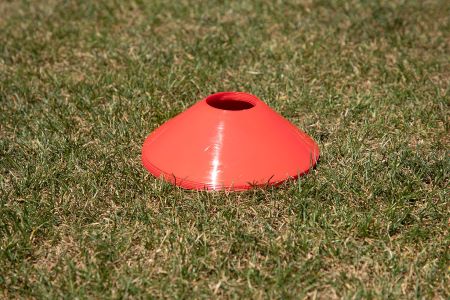 Medium Disc Cones