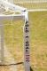 7&#39; x 21&#39;  - Tournament Aluminum Goal (EACH)
