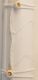 Elastic Bungee Net Ties 12"