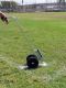 Double Wheel  Striper Machine
