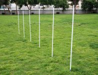 Training Poles