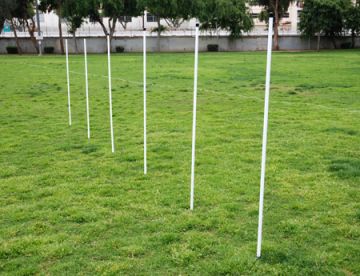 Training Poles
