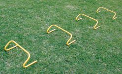 Speed Hurdles