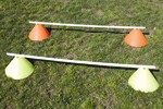Disc Cone Hurdles