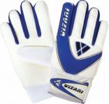 Vizari  Junior Match Goalkeeper Gloves
