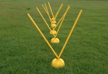 Multi-Function Agility Trainer