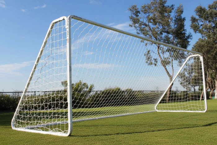 pv3pcgoal