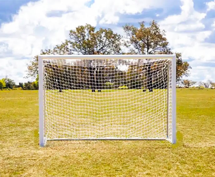 Official Futsal Goals
