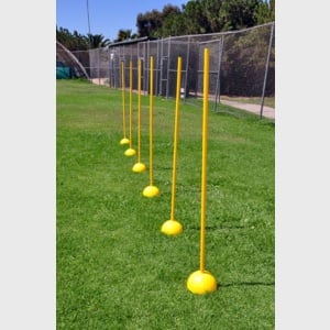 Weighted Dome Base Agility Poles